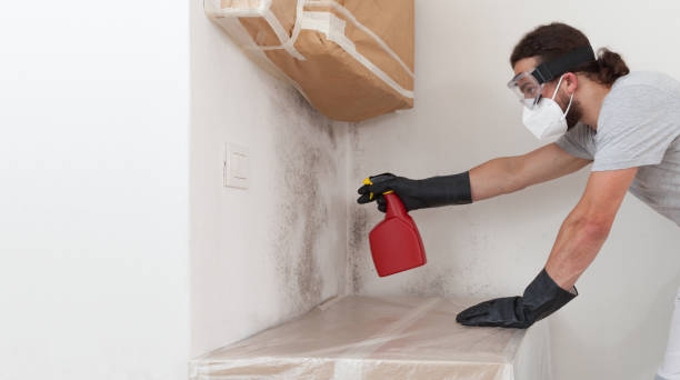 Professional Bathroom Mold Removal technician working in Dayton, TX