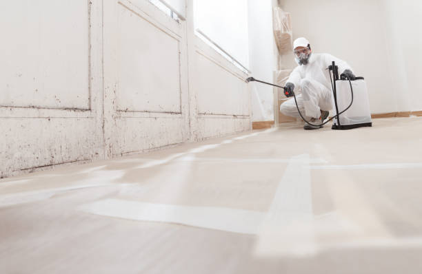 24/7 Emergency Bathroom Mold Removal experts in Dayton, TX
